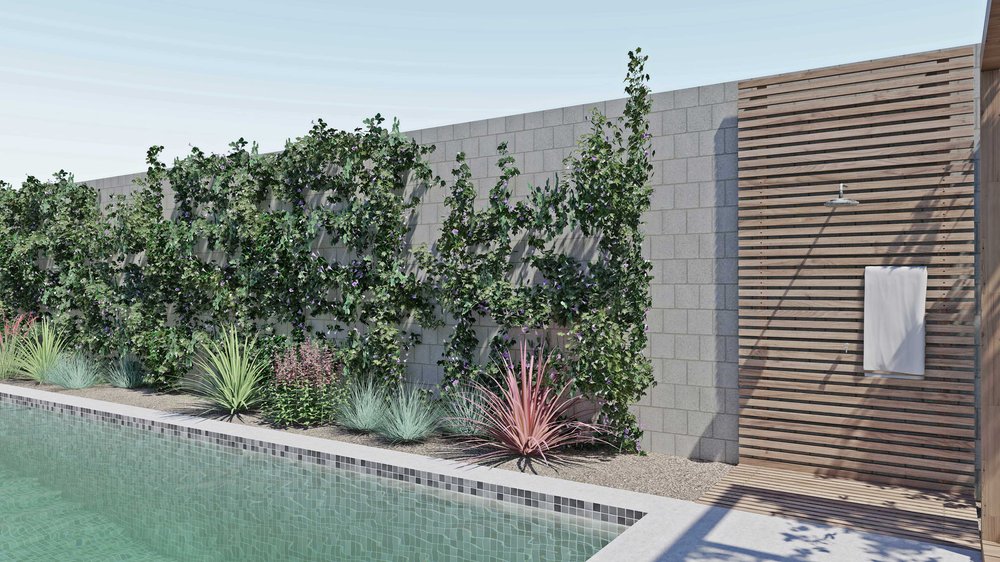 围栏室外游泳池和淋浴与植物在拉斯维加斯