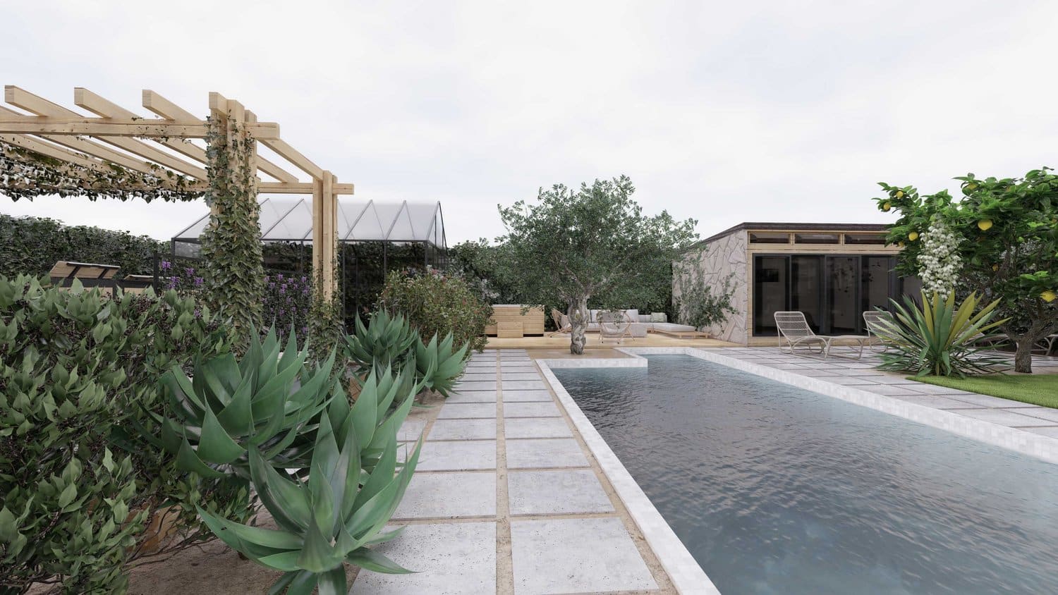 坦帕后院游泳池与混凝土摊铺机甲板和植物