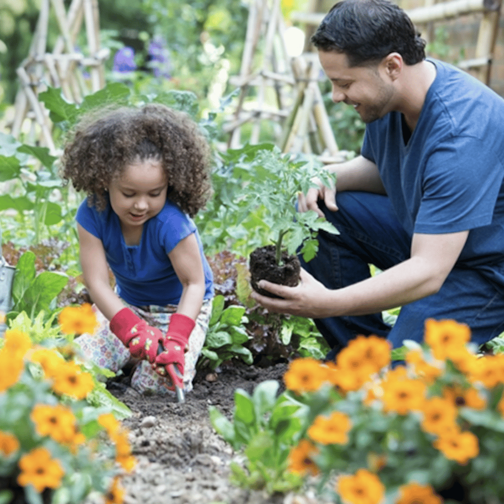 儿童及家长园艺
